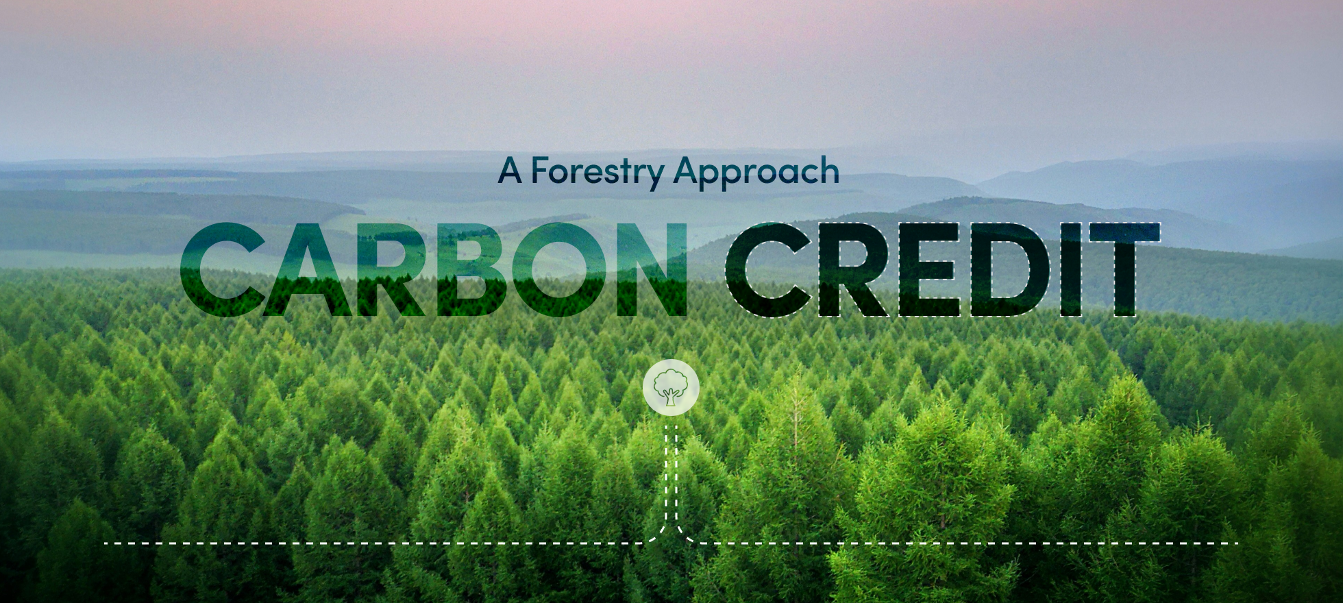 Entendendo o REDD+: Mais que Preservação