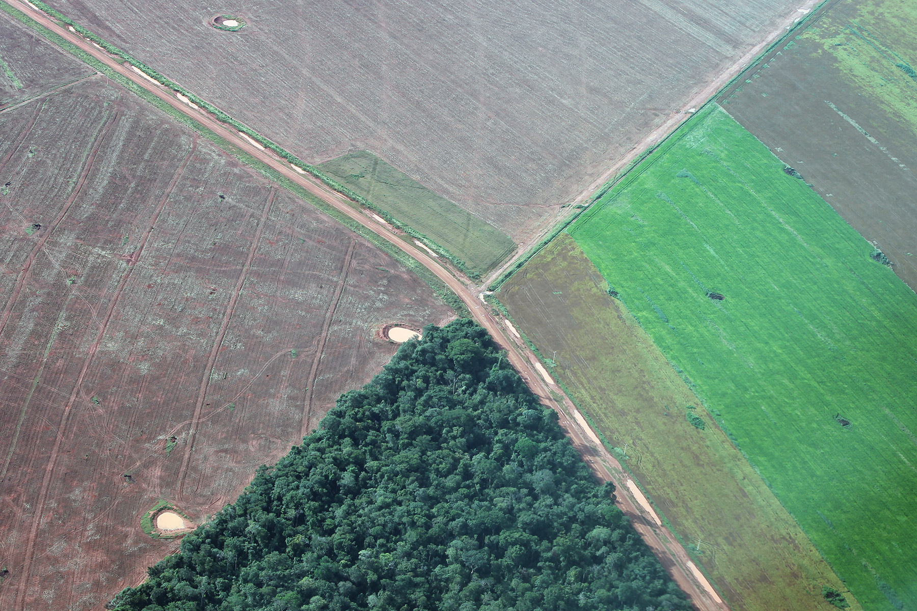 Gestão Inteligente de Reserva Legal