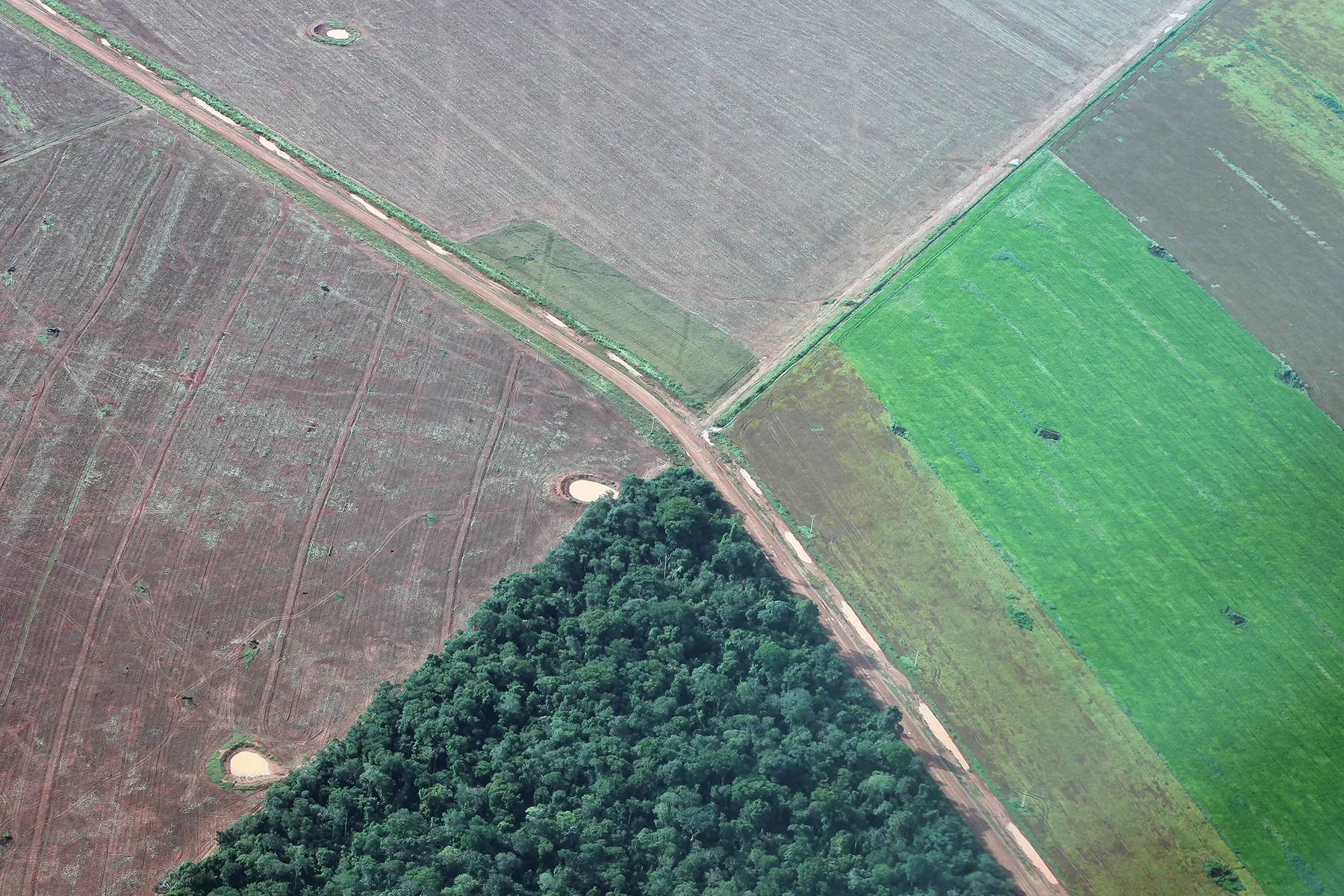 Reserva Legal Inteligente