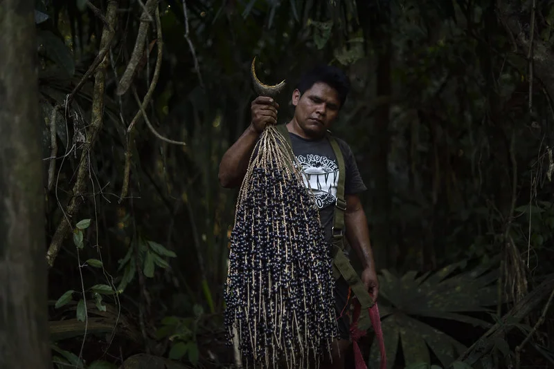 Economia Extrativista